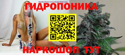 PSILOCYBIN Нарткала