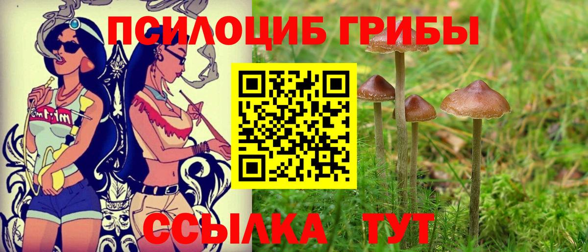 Псилоцибиновые грибы мухоморы  продажа наркотиков  Советская Гавань  Вход с VPN  Галлюциногенные грибы Psilocybe 