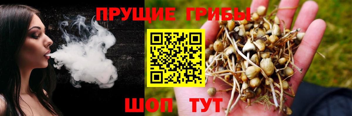 Галлюциногенные грибы Psilocybine cubensis Советская Гавань